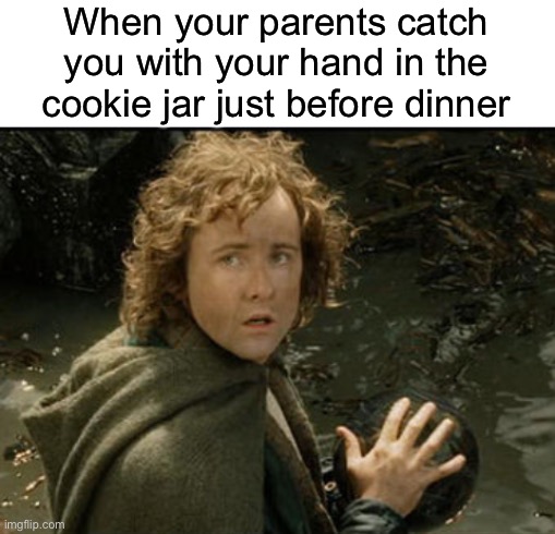 When your parents catch you with your hand in the cookie jar just before dinner | image tagged in blank white template,pippin and the palantir,lord of the rings,return of the king,lotr | made w/ Imgflip meme maker