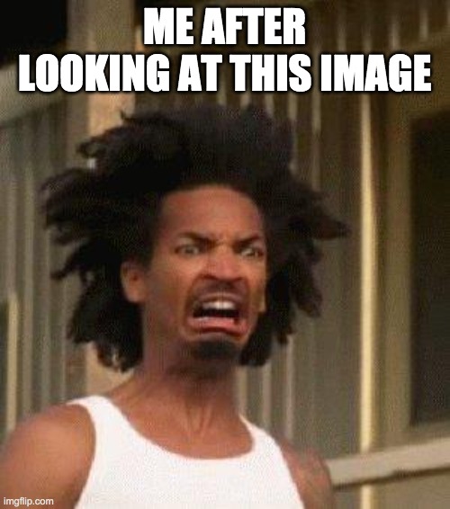 Disgusted Face | ME AFTER LOOKING AT THIS IMAGE | image tagged in disgusted face | made w/ Imgflip meme maker