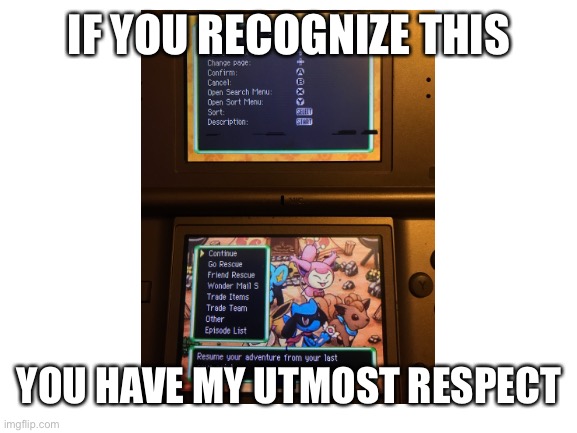 *insert title here* | IF YOU RECOGNIZE THIS; YOU HAVE MY UTMOST RESPECT | image tagged in pokemon,respect,pokemon mystery dungeons explorers of sky,ds,gaming | made w/ Imgflip meme maker