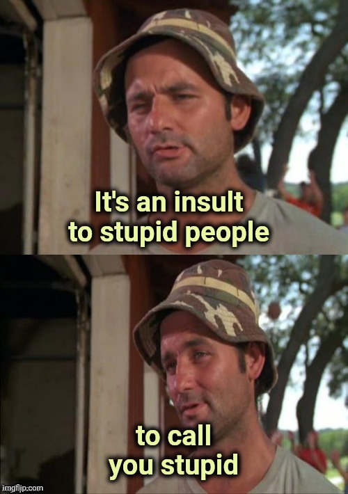 Bill Murray bad joke | It's an insult to stupid people to call you stupid | image tagged in bill murray bad joke | made w/ Imgflip meme maker