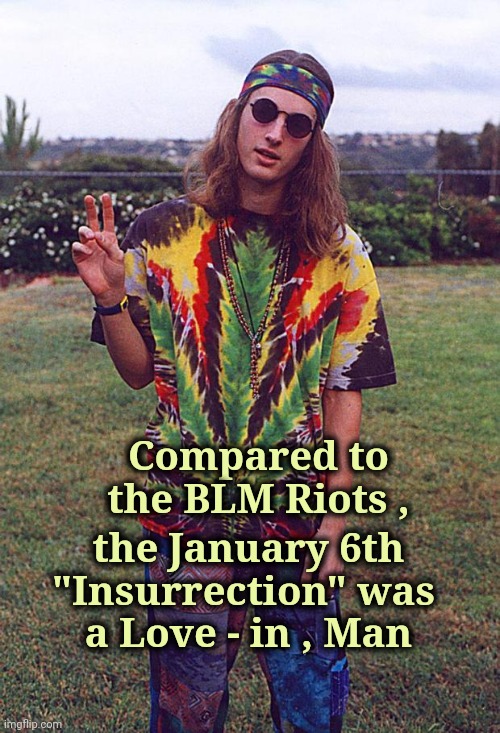 No Molotov cocktails | Compared to the BLM Riots , the January 6th "Insurrection" was 
a Love - in , Man | image tagged in hippie,looters,no patrick,destruction,well yes but actually no | made w/ Imgflip meme maker