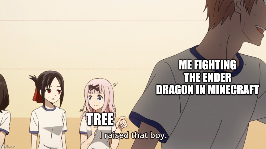 6 months old | ME FIGHTING THE ENDER DRAGON IN MINECRAFT; TREE | image tagged in chika i raised that boy meme | made w/ Imgflip meme maker