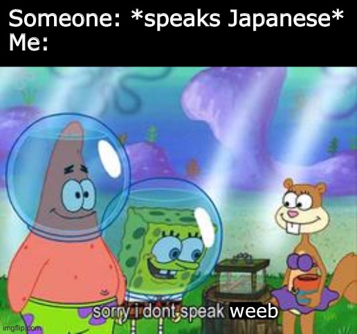 Why | Someone: *speaks Japanese*
Me:; weeb | image tagged in sorry i don't speak ____ | made w/ Imgflip meme maker