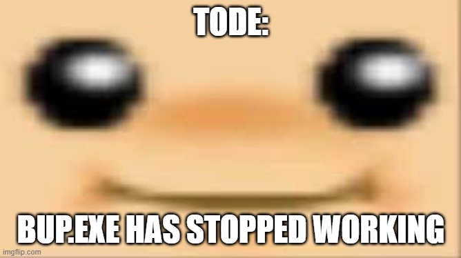 BUP | TODE:; BUP.EXE HAS STOPPED WORKING | image tagged in toad | made w/ Imgflip meme maker