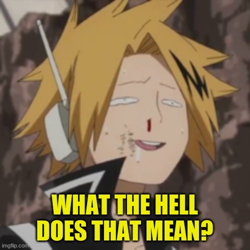 Denki dumb | WHAT THE HELL DOES THAT MEAN? | image tagged in denki dumb | made w/ Imgflip meme maker