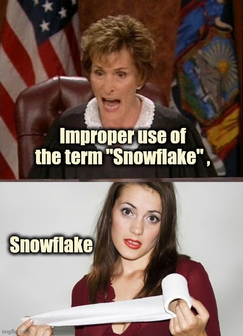 Improper use of the term "Snowflake" , Snowflake | image tagged in judge judy,butthurt bad | made w/ Imgflip meme maker