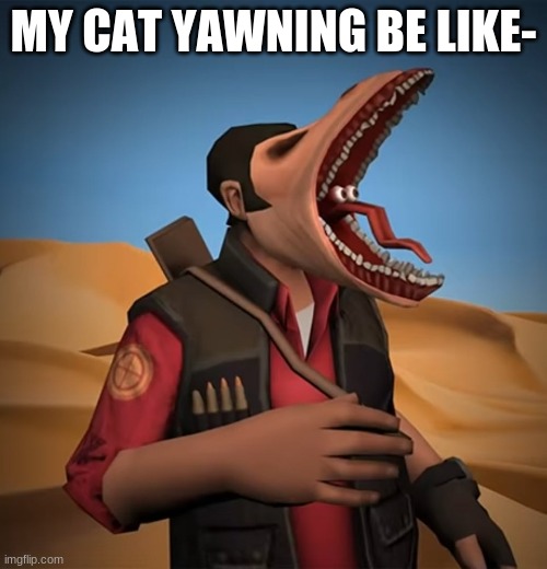 when my cat yawns its a demon | MY CAT YAWNING BE LIKE- | image tagged in demon,grumpy cat,tf2 | made w/ Imgflip meme maker