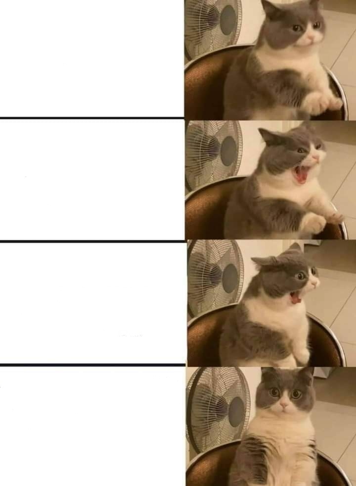 Impatient cat Blank Meme Template