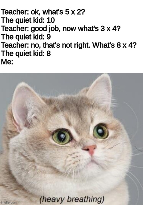 happy birthday to the ground | Teacher: ok, what's 5 x 2?
The quiet kid: 10
Teacher: good job, now what's 3 x 4?
The quiet kid: 9
Teacher: no, that's not right. What's 8 x 4?
The quiet kid: 8
Me: | image tagged in blank white template,memes,heavy breathing cat,the quiet kid,quiet kid,the_quiet_kid | made w/ Imgflip meme maker
