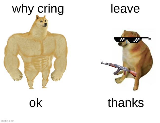 Buff Doge vs. Cheems | why cring; leave; ok; thanks | image tagged in memes,buff doge vs cheems | made w/ Imgflip meme maker