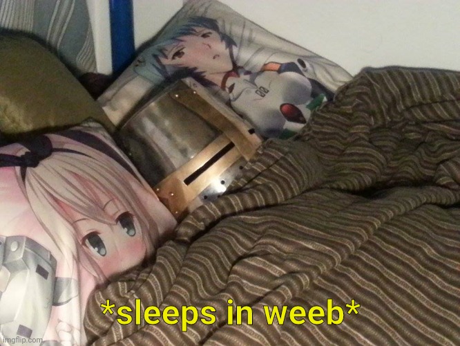 Weeb Crusader | *sleeps in weeb* | image tagged in weeb crusader | made w/ Imgflip meme maker