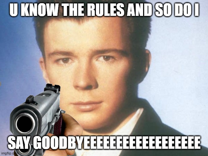 You know the rules and so do I. SAY GOODBYE. | U KNOW THE RULES AND SO DO I SAY GOODBYEEEEEEEEEEEEEEEEEE | image tagged in you know the rules and so do i say goodbye | made w/ Imgflip meme maker