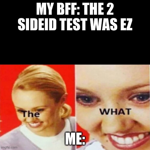 The What | MY BFF: THE 2 SIDEID TEST WAS EZ; ME: | image tagged in the what | made w/ Imgflip meme maker