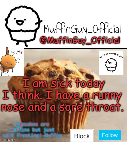 I think. | I am sick today I think. I have a runny nose and a sore throat. | image tagged in muffinguy_official's template | made w/ Imgflip meme maker