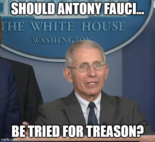 Dr Fauci | SHOULD ANTONY FAUCI... BE TRIED FOR TREASON? | image tagged in dr fauci | made w/ Imgflip meme maker