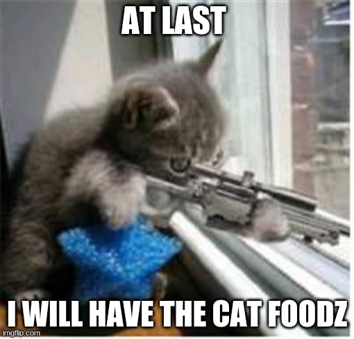 cats with guns |  AT LAST; I WILL HAVE THE CAT FOODZ | image tagged in cats with guns | made w/ Imgflip meme maker