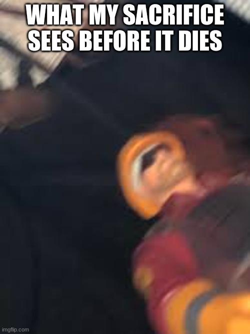 bruh | WHAT MY SACRIFICE SEES BEFORE IT DIES | image tagged in tf2,funny | made w/ Imgflip meme maker