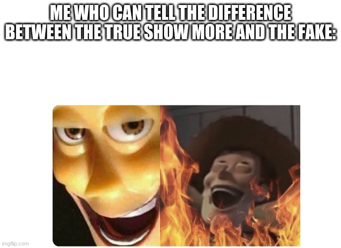 Satanic Woody | ME WHO CAN TELL THE DIFFERENCE BETWEEN THE TRUE SHOW MORE AND THE FAKE: | image tagged in satanic woody | made w/ Imgflip meme maker