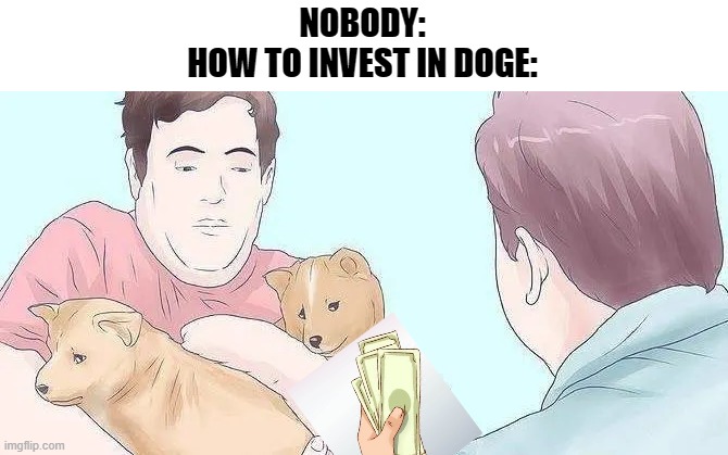 I want some doge | NOBODY:
HOW TO INVEST IN DOGE: | image tagged in invest,memes,wikihow,dogecoin | made w/ Imgflip meme maker