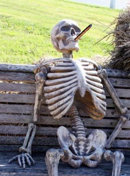Waiting Skeleton Meme | image tagged in memes,waiting skeleton | made w/ Imgflip meme maker