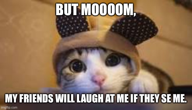Awkward Moment Cat | BUT MOOOOM, MY FRIENDS WILL LAUGH AT ME IF THEY SE ME. | image tagged in awkward moment cat | made w/ Imgflip meme maker