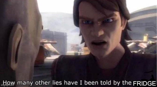 how many other lies have i been told by the council | FRIDGE | image tagged in how many other lies have i been told by the council | made w/ Imgflip meme maker