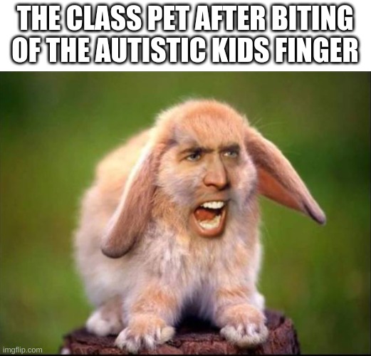 THE CLASS PET AFTER BITING OF THE AUTISTIC KIDS FINGER | image tagged in funny,rabit,class,pet,meme,middle school | made w/ Imgflip meme maker