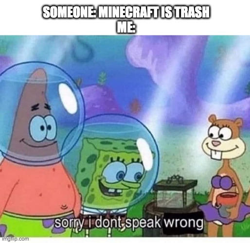 "MiNeCrAft SuCkS | SOMEONE: MINECRAFT IS TRASH
ME: | image tagged in sorry i dont speak wrong | made w/ Imgflip meme maker