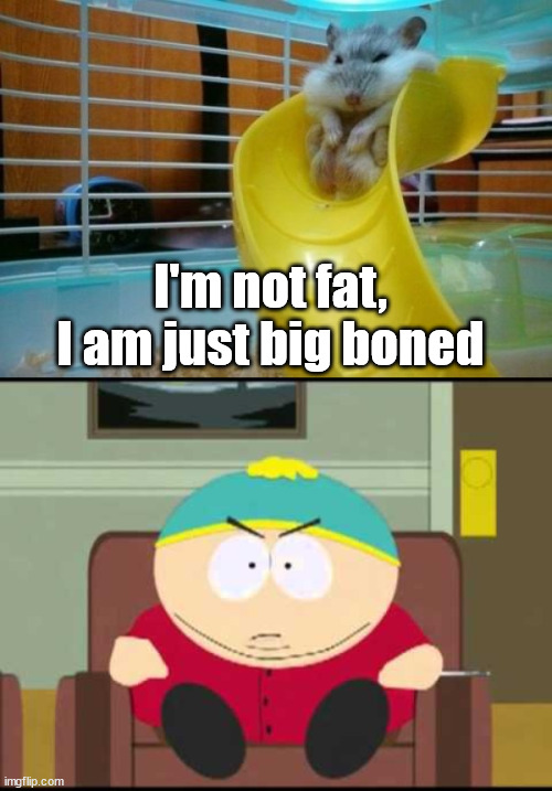 I'm not fat, I am just big boned | image tagged in i'm not fat i'm big boned | made w/ Imgflip meme maker
