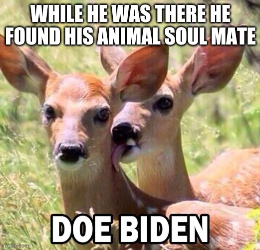 WHILE HE WAS THERE HE FOUND HIS ANIMAL SOUL MATE | made w/ Imgflip meme maker