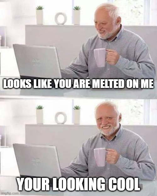 Hide the Pain Harold Meme | LOOKS LIKE YOU ARE MELTED ON ME; YOUR LOOKING COOL | image tagged in memes,hide the pain harold | made w/ Imgflip meme maker