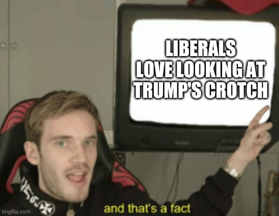 and that's a fact | LIBERALS LOVE LOOKING AT TRUMP'S CROTCH | image tagged in and that's a fact | made w/ Imgflip meme maker