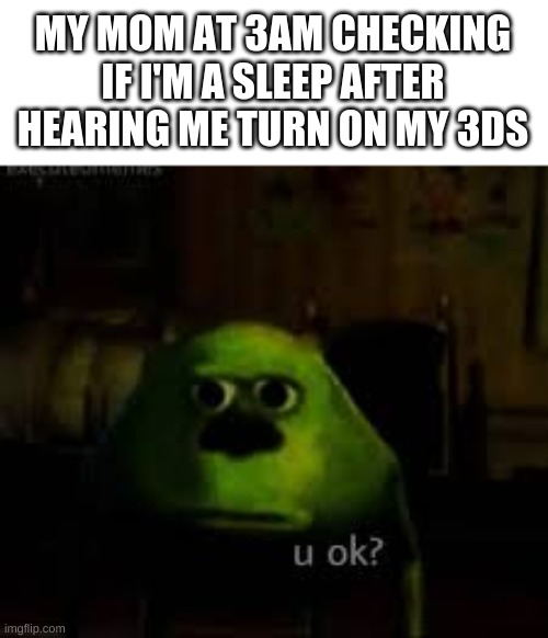 There so loud! | MY MOM AT 3AM CHECKING IF I'M A SLEEP AFTER HEARING ME TURN ON MY 3DS | image tagged in fun,funny,middle school,3ds,mother,3am | made w/ Imgflip meme maker