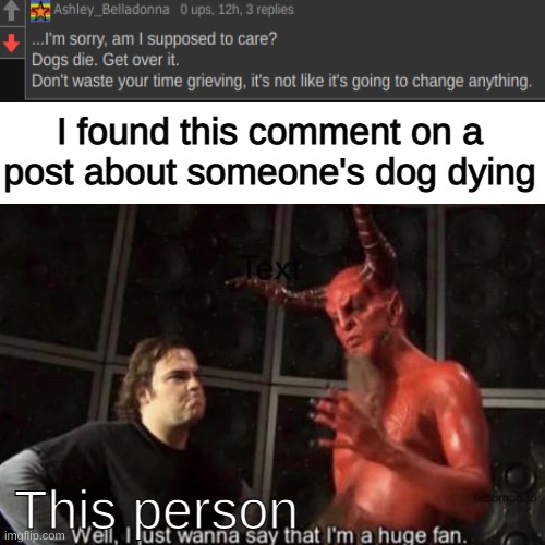 WHAT IS WRONG WITH YOU |  I found this comment on a post about someone's dog dying; This person | image tagged in blank white template | made w/ Imgflip meme maker