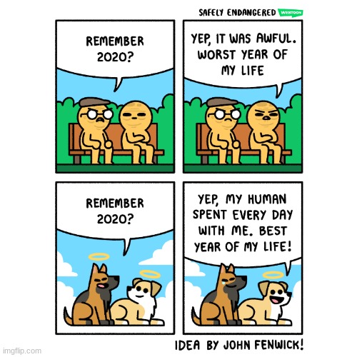 the other side of the story | image tagged in comics/cartoons,2020,the other side of the story,dogs | made w/ Imgflip meme maker