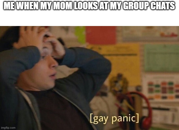 Help! | ME WHEN MY MOM LOOKS AT MY GROUP CHATS | image tagged in gay panic,memes | made w/ Imgflip meme maker