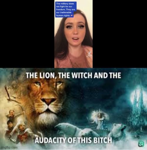 Stupid TikTok girl | image tagged in the lion the witch and the audacity of this b tch | made w/ Imgflip meme maker