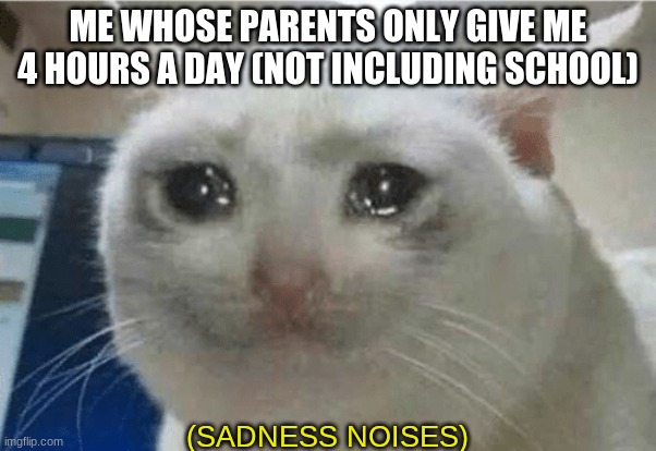 ME WHOSE PARENTS ONLY GIVE ME 4 HOURS A DAY (NOT INCLUDING SCHOOL) | image tagged in sadness noises | made w/ Imgflip meme maker