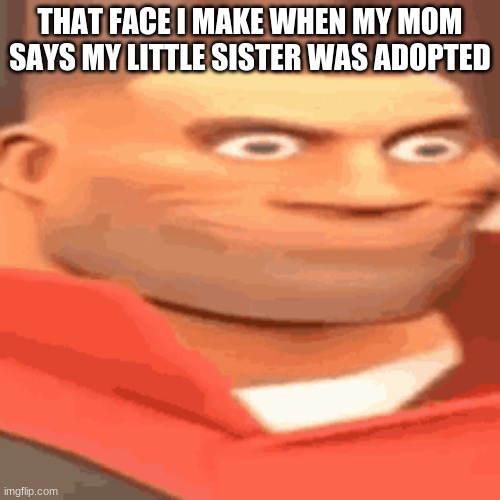 i wish | THAT FACE I MAKE WHEN MY MOM SAYS MY LITTLE SISTER WAS ADOPTED | image tagged in tf2,i wish,kill me | made w/ Imgflip meme maker