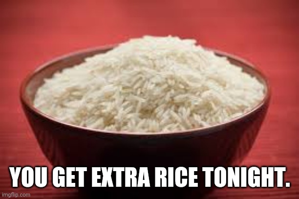 All this rice | YOU GET EXTRA RICE TONIGHT. | image tagged in all this rice | made w/ Imgflip meme maker