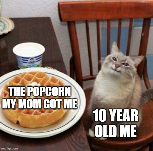 popcorn | THE POPCORN MY MOM GOT ME; 10 YEAR OLD ME | image tagged in cat likes their waffle | made w/ Imgflip meme maker