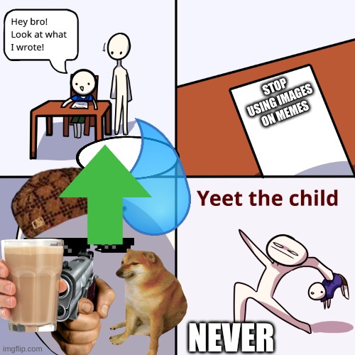 Yeet the child | STOP USING IMAGES ON MEMES; NEVER | image tagged in yeet the child | made w/ Imgflip meme maker