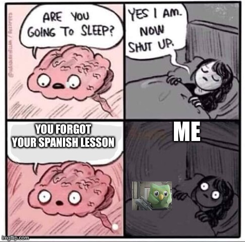 Oh no | ME; YOU FORGOT YOUR SPANISH LESSON | image tagged in are you going to sleep | made w/ Imgflip meme maker