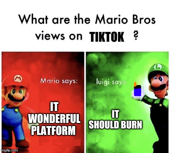 insert good title | TIKTOK; IT WONDERFUL PLATFORM; IT SHOULD BURN | image tagged in mario bros views | made w/ Imgflip meme maker