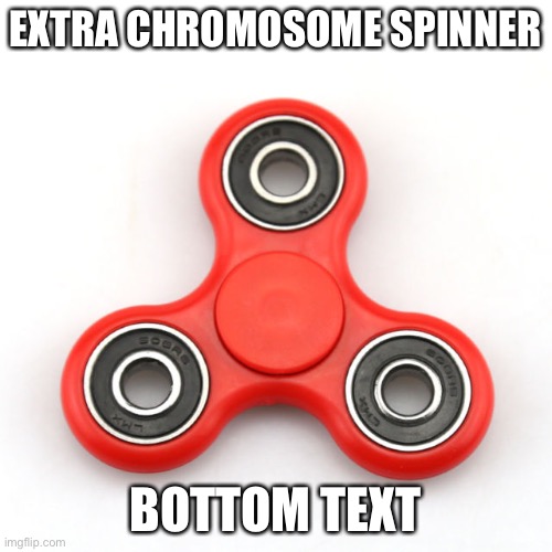 2017 memories | EXTRA CHROMOSOME SPINNER; BOTTOM TEXT | made w/ Imgflip meme maker