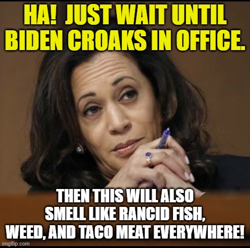 Kamala Harris  | HA!  JUST WAIT UNTIL BIDEN CROAKS IN OFFICE. THEN THIS WILL ALSO SMELL LIKE RANCID FISH, WEED, AND TACO MEAT EVERYWHERE! | image tagged in kamala harris | made w/ Imgflip meme maker