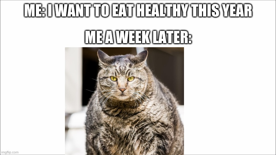ME: I WANT TO EAT HEALTHY THIS YEAR; ME A WEEK LATER: | image tagged in memes | made w/ Imgflip meme maker