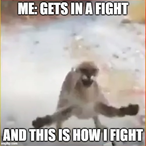 ttttfthfth | ME: GETS IN A FIGHT; AND THIS IS HOW I FIGHT | image tagged in memes | made w/ Imgflip meme maker