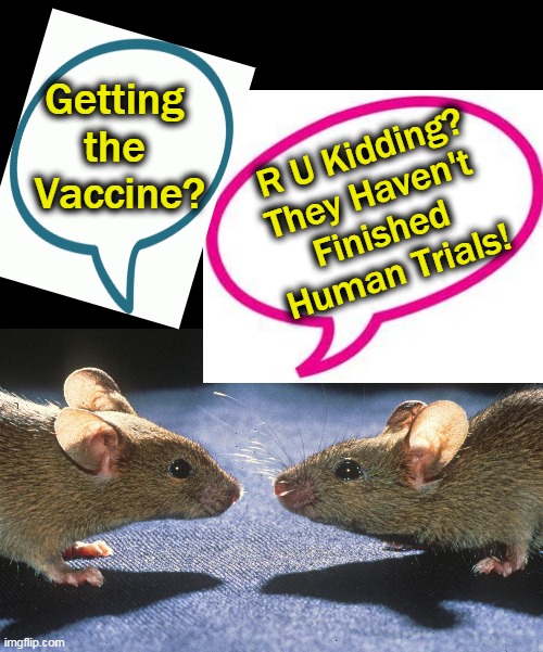 L O L!! | Getting 
the 
Vaccine? R U Kidding?
They Haven't 
Finished 
Human Trials! | image tagged in funny memes,mice,vaccine,laughs | made w/ Imgflip meme maker