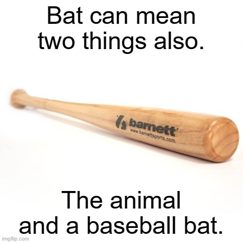 baseball bat | Bat can mean two things also. The animal and a baseball bat. | image tagged in baseball bat | made w/ Imgflip meme maker